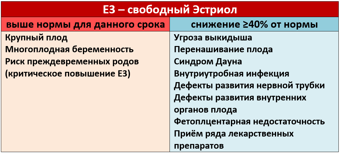 Эстриол свободный беременность 18 недель