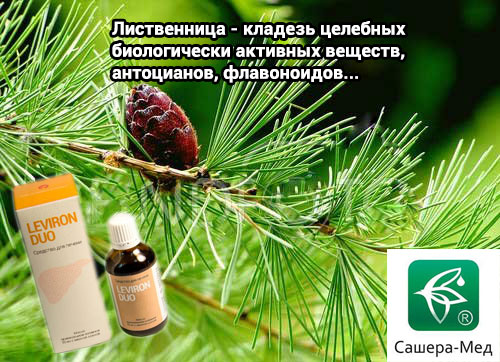 Leviron Duо – целебная сила природы Leviron Duо - натуральный гепатопротектор