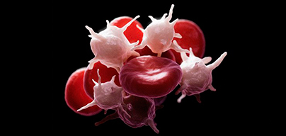 Повышены тромбоциты в крови