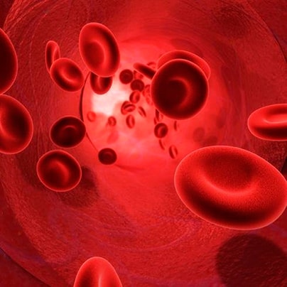 MCV в анализе крови понижен