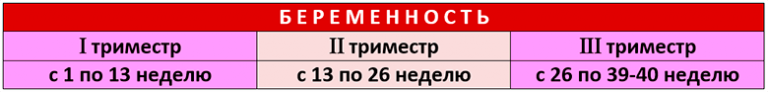 Триместры беременности. Беременность по триместрам таблица. Триместры беременности таблица.