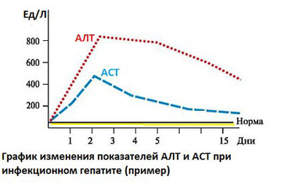 График изменения АЛТ и АСТ