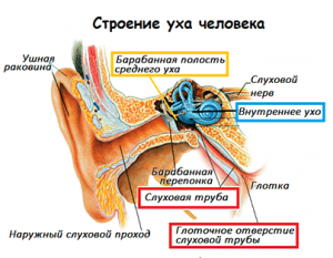 Заложило уши в машине