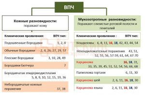 Впч 16 у мужчин схема лечения